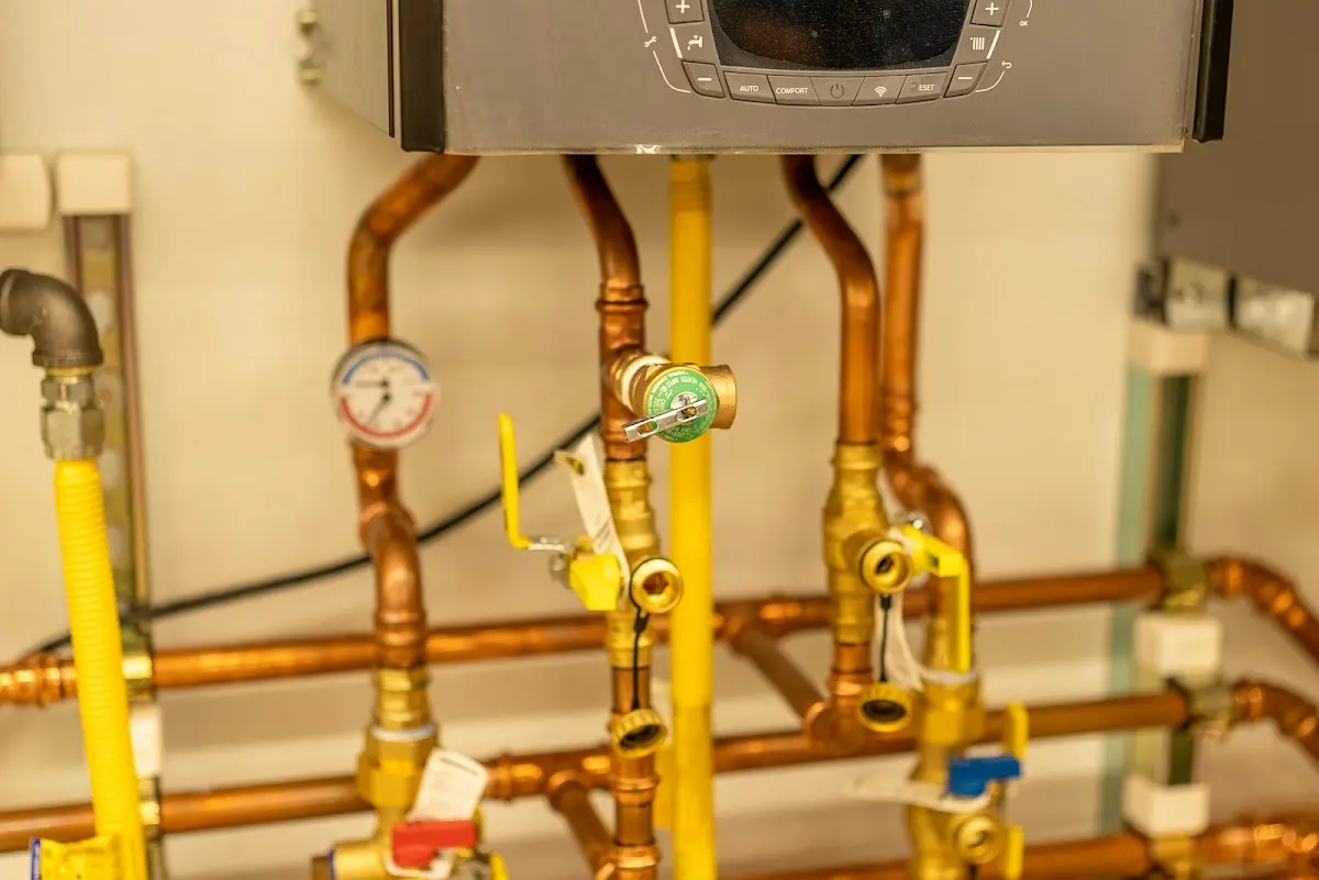 Licensed technician providing Sump Pump Repair for a homeowner in Whitestown